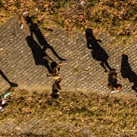 Top view of people walking left to right under the Sun and their shadow reflecting to the floor